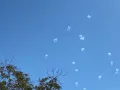 Rafael Advanced Defense Systems Iron Dome thumbnail 4