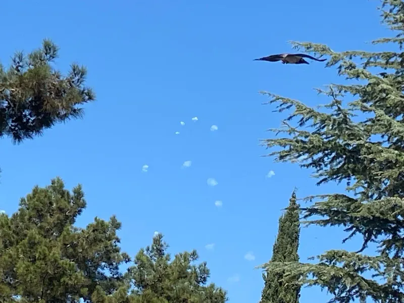 Rafael Advanced Defense Systems Iron Dome — view 5
