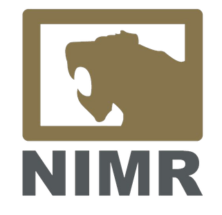 NIMR Automotive logo