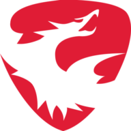 Skyeton logo