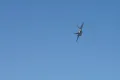 Lockheed Martin F-22A Raptor thumbnail 3