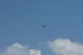Lockheed Martin F-22A Raptor thumbnail 7