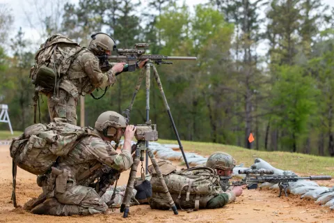 Knight's Armament Company M110 SASS